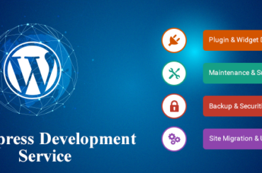 Wordpress-Development